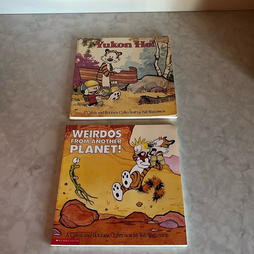 Calvin Hobbes books.  Two Vintage 80’s and 90’s soft cover by Bill Watterson fun